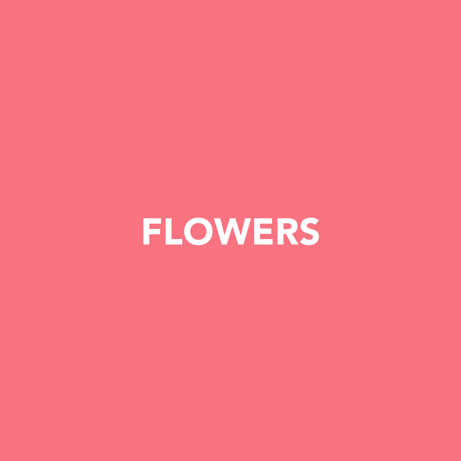 Hover Image